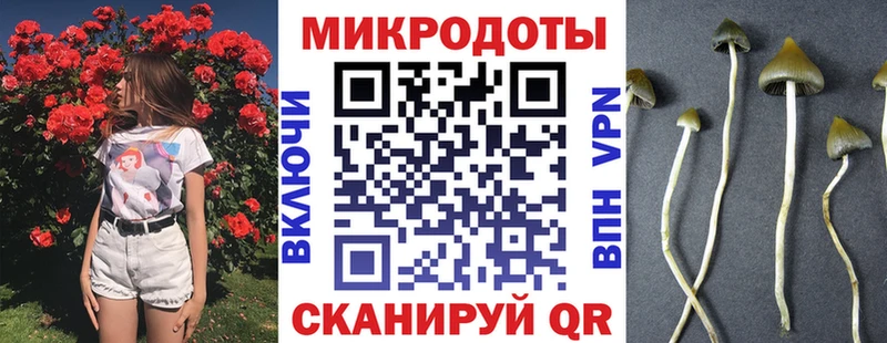 Псилоцибиновые грибы мухоморы Козельск